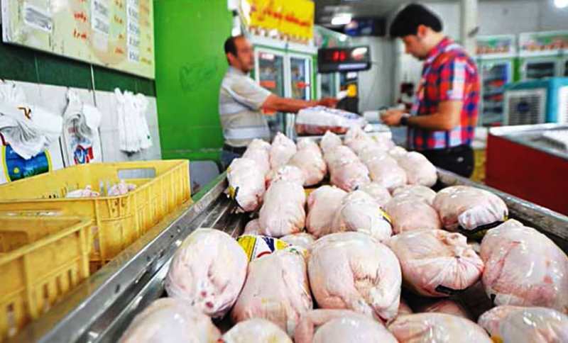 توزیع مرغ گرم و منجمد تا رسیدن به قیمت مصوب تنظیم بازار