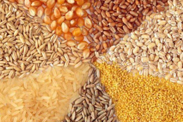 دلایل نشت نهاده های دامی وارداتی با ارز ۴۲۰۰ تومانی در بازار سیاه