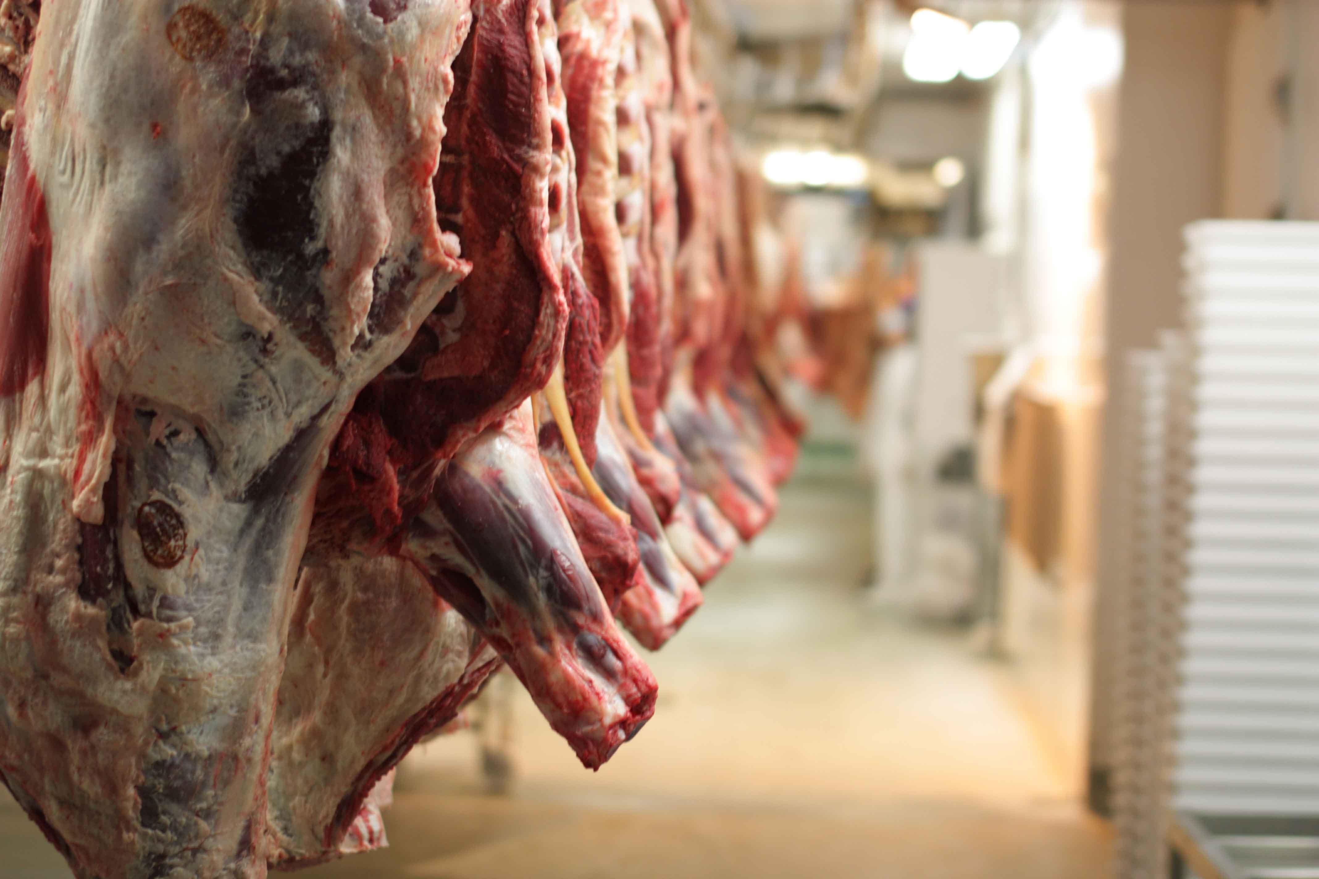 افزایش ۵۲ درصدی عرضه گوشت قرمز در کشتارگاه‌های رسمی کشور در آذر ماه امسال