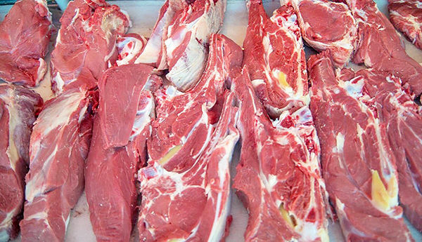 تولید گوشت قرمز در خراسان رضوی افزایش یافت