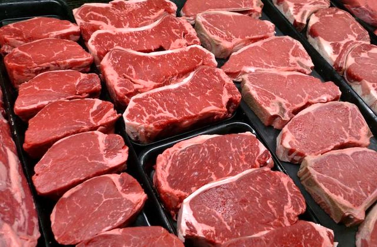 شیطنت دلالان؛ علت شایعات گرانی گوشت قرمز به قیمت ۳۰۰ هزارتومان
