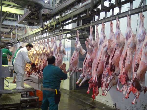 فروش گوشت تنظیم بازاری ۲۸ هزار تومانی فقط به گروه‌های هدف