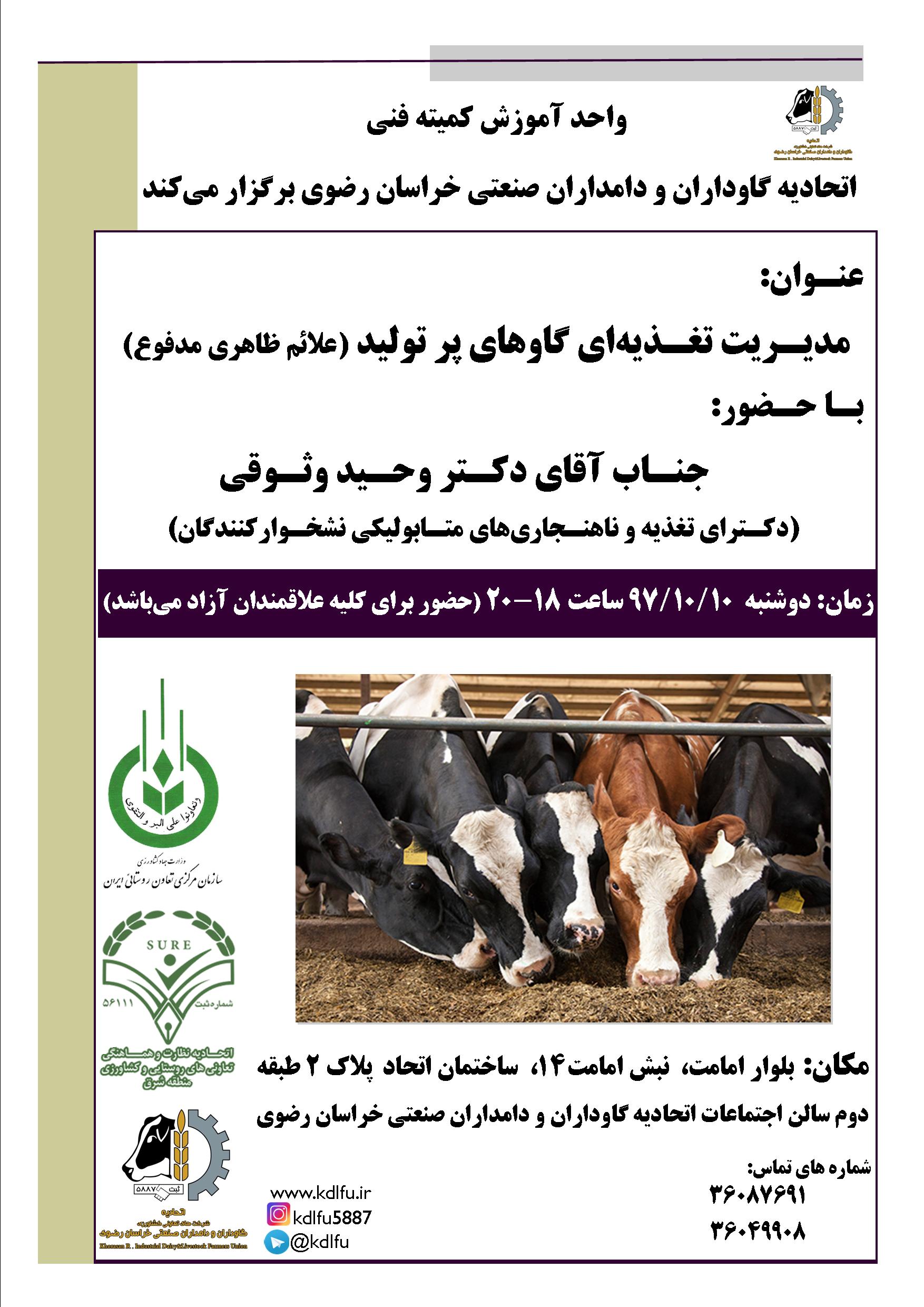 مدیریت تغذیه­ای گاوهای پر تولید