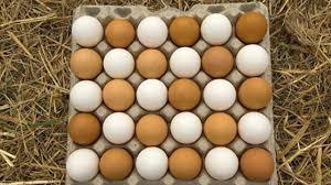تخم مرغ شانه‌ای ۳۶ هزار تومان!