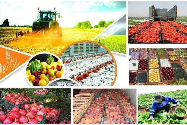 پیشبینی ۲۴۸۰  میلیارد تومان یارانه تولید و خرید محصولات کشاورزی