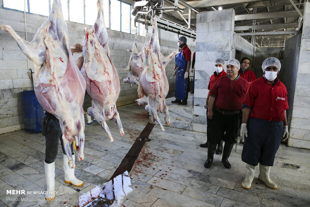 مرکز آمار ایران: افزایش ۳۸ درصدی عرضه گوشت قرمز در آبان