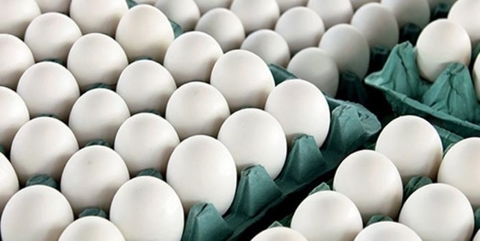 قیمت جدید تخم‌مرغ: ۱۴هزار تومان