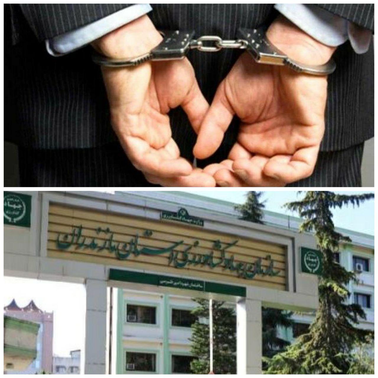 دستگیری ۲ معاون ارشد جهاد کشاورزی مازندران