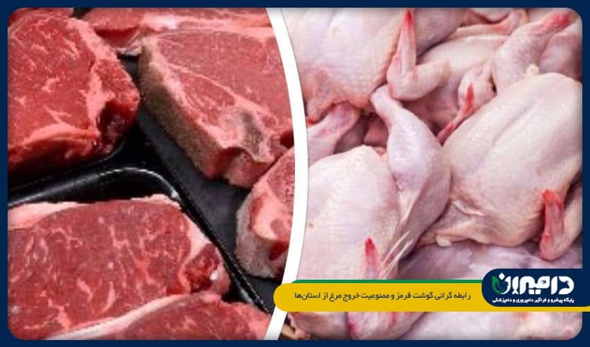 رابطه گرانی گوشت قرمز و ممنوعیت خروج مرغ از استان‌ها