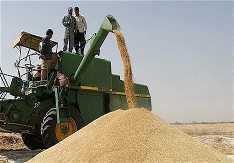 ?تعاون روستایی خراسان رضوی بیش از ۱۰ هزار تن گندم کشاورزان را خرید