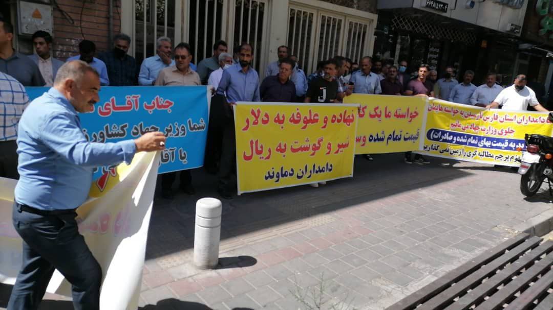 اعتراض دامداران نسبت به وضعیت نابسامان مدیریت دامداری کشور