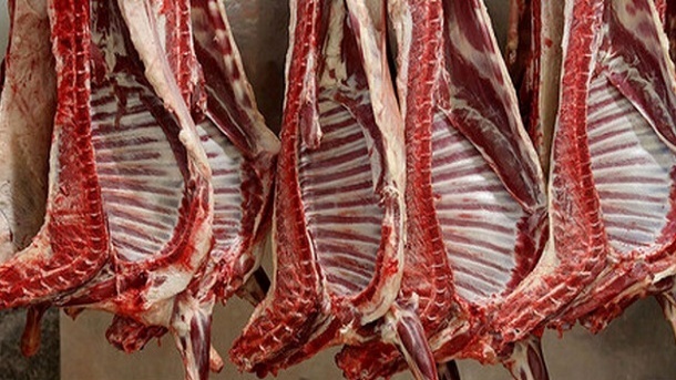 در برخی نقاط تهران قیمت گوشت قرمز نیم میلیون را رد کرد/ قاچاق دام زنده، مظنون اصلی!