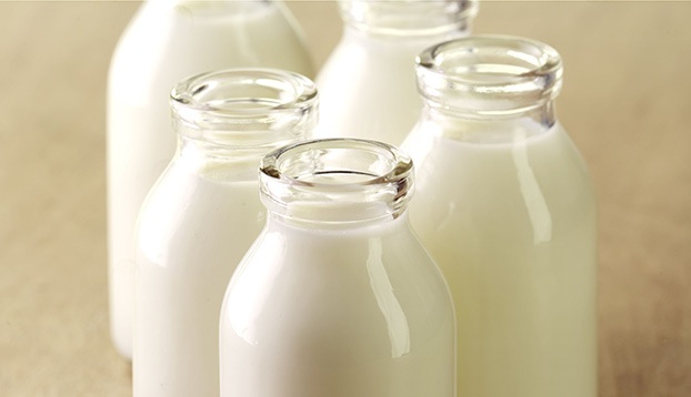 احتمال افزایش قیمت شیر با افزایش قیمت نهاده های دامی