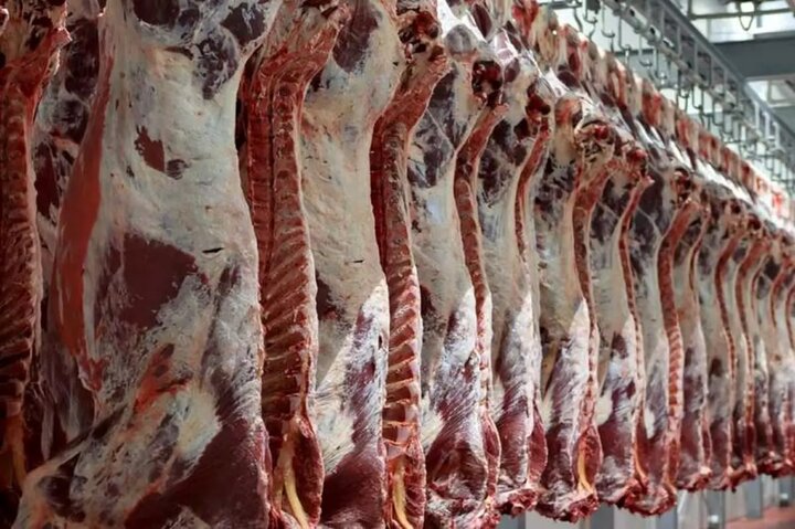 عرضه بیش از ۳۳ تن گوشت قرمز در بهمن‌ماه امسال