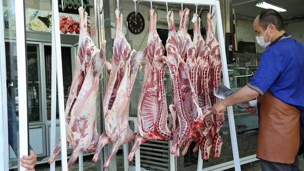 مدیر اتحادیه دامداران: ارز بیزبان را به پای گوشت بیکیفیت ریختند