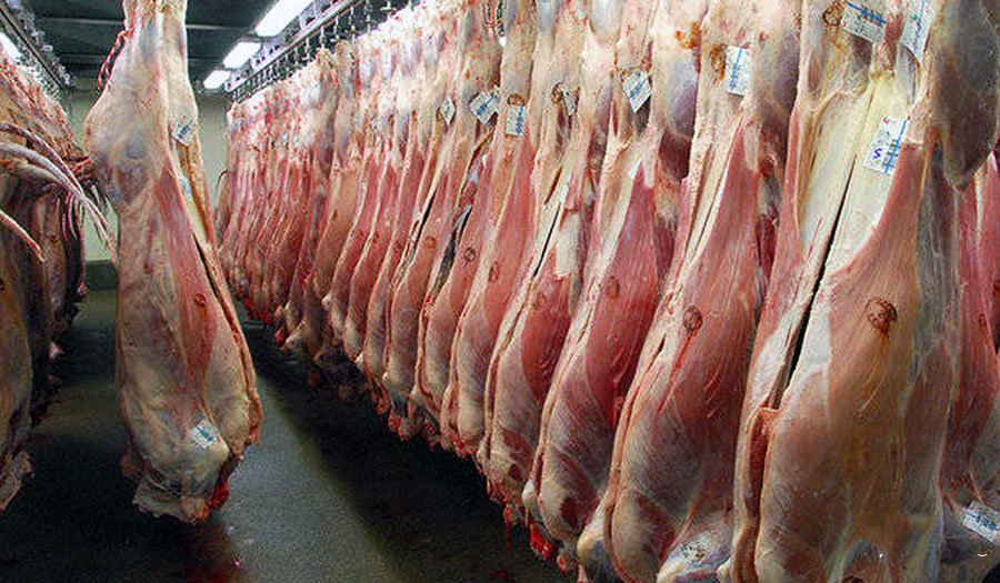 توزیع گوشت قرمز طبق روند روزانه در حال انجام است
