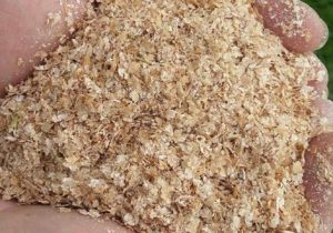 الزام وزارت جهاد به عرضه سبوس ماه به نرخ گذشته