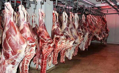 واردات گوشت قرمز برای تنظیم‌گری است نه تأمین نیاز داخل