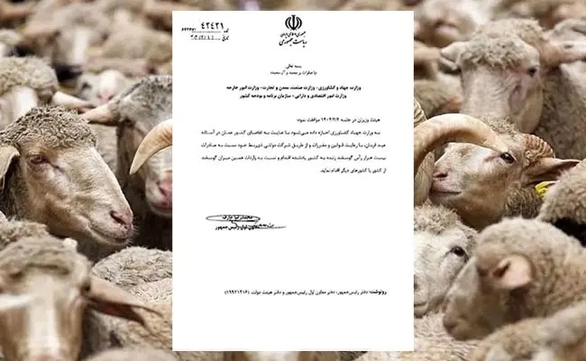 کام عارف هم شیرین شده است؟! رازهای پشت پرده صادرات و واردات گوسفند زنده