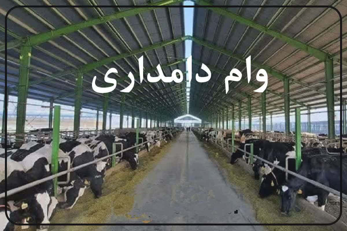 اعطای بیش از ۵۰ میلیارد تومان وام تسهیلات دامپروری در نیشابور